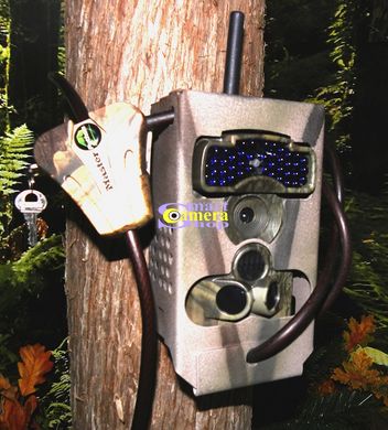 Фотоловушка, охотничья GSM камера LTL ACORN 6310WMG-BlueRay