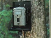 Монтажное приспособление Moultrie TreeMount  для установки фотоловушки на дереве